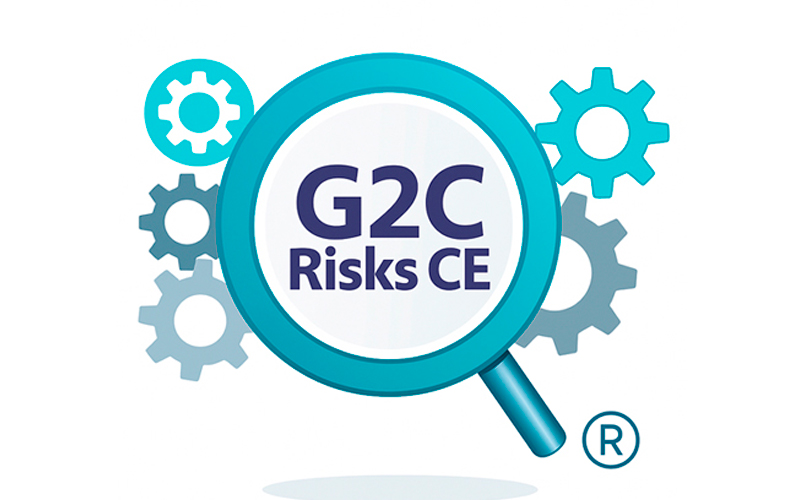 G2C